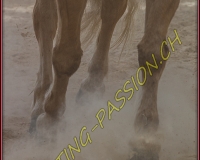 1AMAZONE- 0318